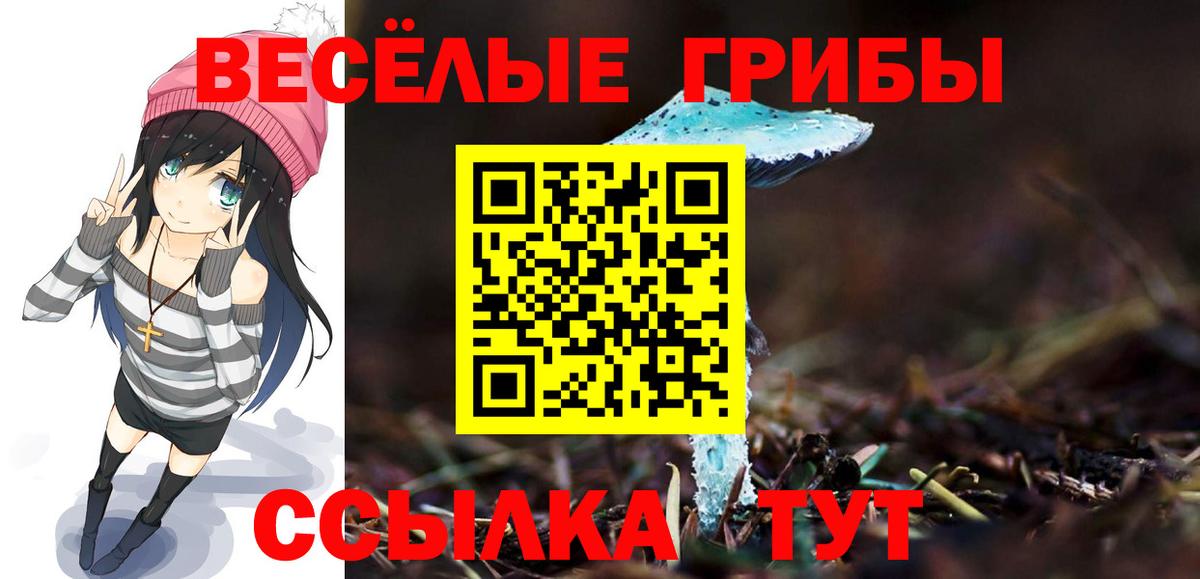 Галлюциногенные грибы Psilocybine cubensis  Вход с VPN  Шахты 